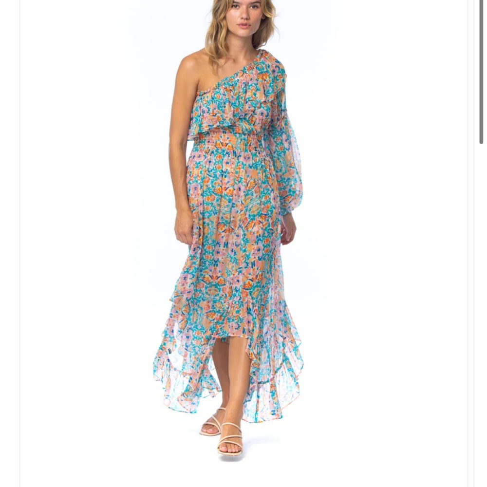 NWT Mahila Arlo Jade Dress